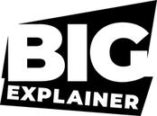 BIGexplainer